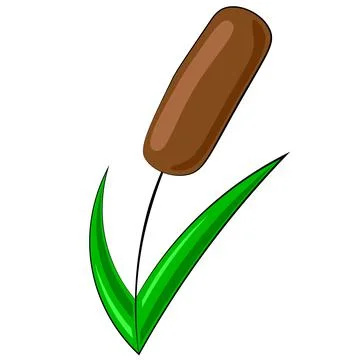 Single element reed. Draw illustration in colors Stock Illustration