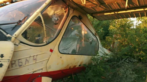 Single-engine aircraft in disrepair Stock Footage 159563168
