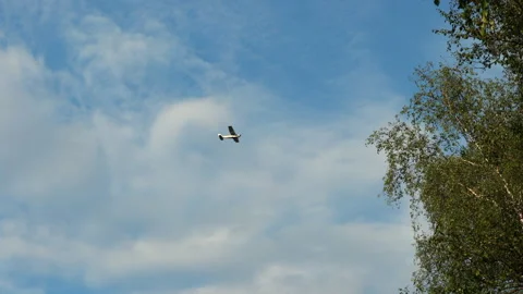 Single Engine Airplane Flying In Clear Blue Sky 스톡 동영상 310302800