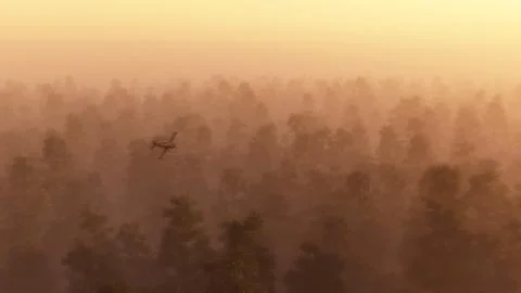 Single engine plane flying over misty pine forest at dawn. Stock Photos