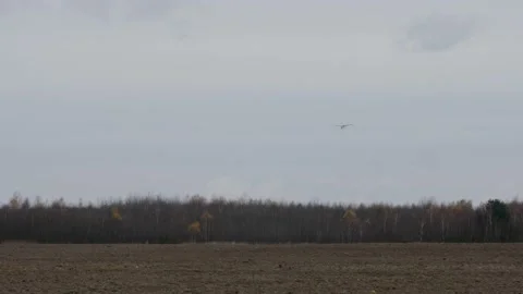 A single-engine private jet flies down against the backdrop of the autumn forest Stock Footage 143900247
