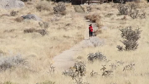 Single female jogger Video stock 1060275