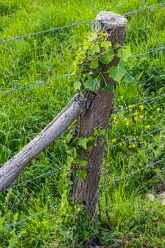Single fence pole Stock Photos