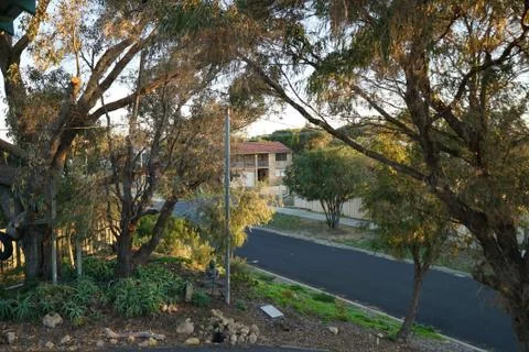 Single fin bech Stock Photos