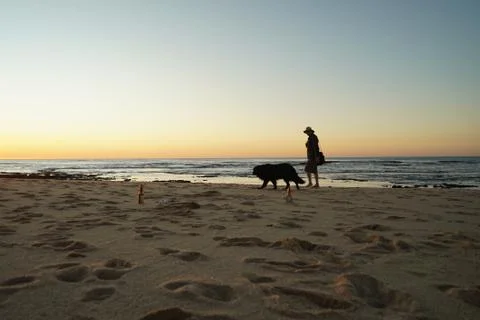 Single fin bech Stock Photos