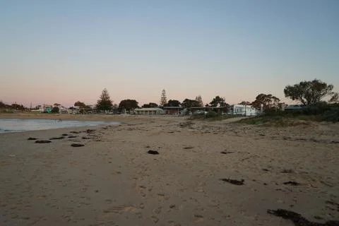 Single fin bech 写真素材