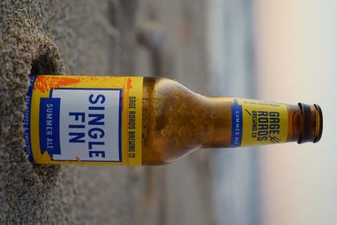 Single fin bech 写真素材