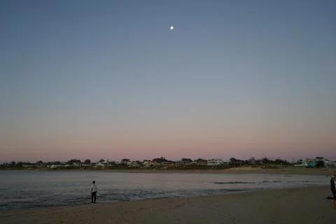 Single fin bech Stock Photos