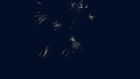 A single firework exploding into dual circular design in the night sky before Video stock 319523687