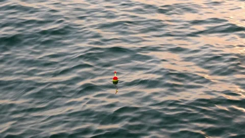 Single fishing float bobbing on the calm water. Close up shot Stock Footage 317549834