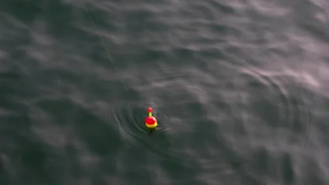 Single fishing float bobbing on the calm water Stock Footage 317549880