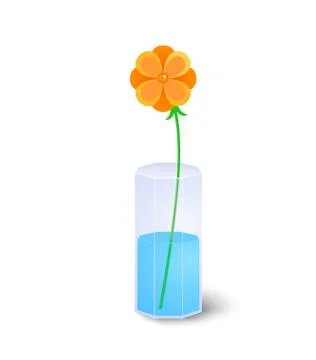 Single flower in vase Stock Illustration