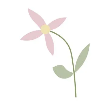 Single flower on white background Stock Illustration