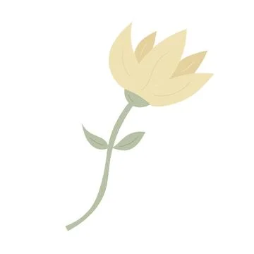 A single flower on a white background. Stock Illustration
