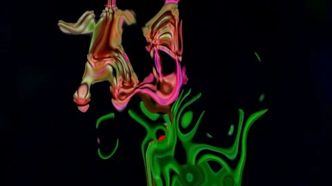 Single Flower White Iris Blooming Stock Footage 73530963