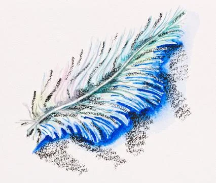 Single fluffy feather, watercolor with slate-pencil painting Foto stock