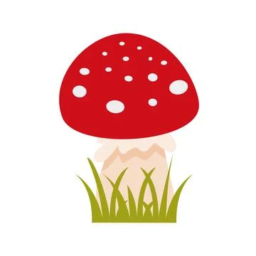 Single fly agaric in grass, clipart illustration Stockillustratie