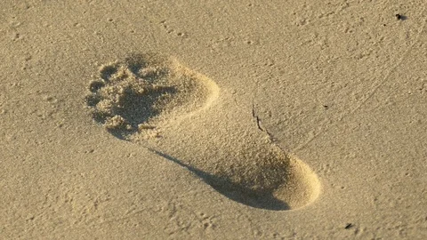 Single Footprint On Beach Stock Footage 76202567