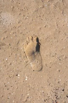 Single footprint on sandy beach close-up Stock Photos
