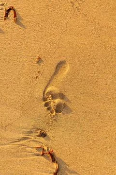 Single Footstep On A Sandy Beach Foto stock