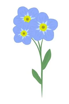 Single forget-me-not flower Stock Illustration