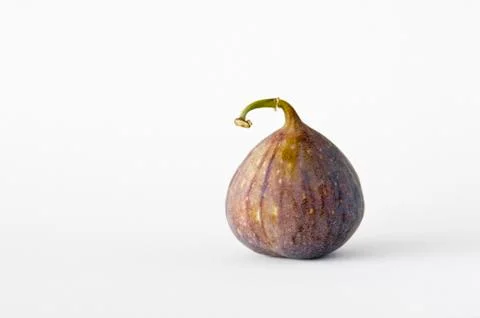 Single fresh fig on a white background. Stock Photos