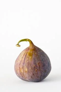 Single fresh fig on a white background. Stock Photos