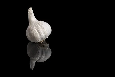 A single fresh garlic bulb isolated on a black background with a clear surf.. Stock Photos