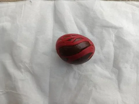 Single fresh nutmeg seed with vibrant red aril on white tissue. Stock Photos