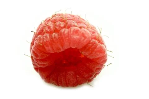 Single fresh raspberry in macro photography. 库存照片