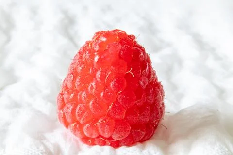 Single fresh raspberry on soft white background. Stock Photos