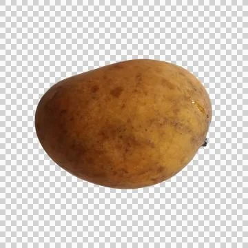 A single fresh raw potato vegetable isolated on a transparent background fo.. Фото