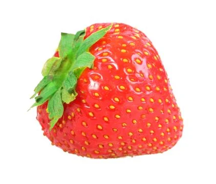 Single fresh red strawberry Stock Photos