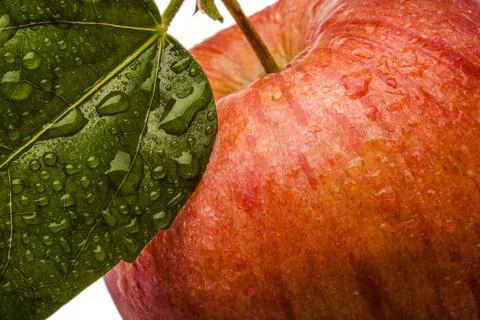 Single fresh wet red apple with leaf and drops isolated on white background Stock Photos