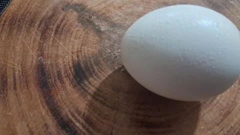 Single fresh white egg resting on a rustic wooden board surface 스톡 사진
