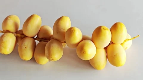 Single Fresh Yellow Date Palm Branch on White Surface. Stock Footage 340486945