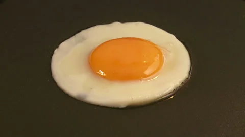 Single fried egg, food Vidéo 28761405