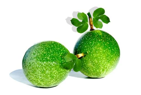 A single fruit of green passion fruit The fruit is round or oval and succulen Stock Photos