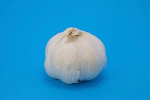 A single garlic bulb is presented on a blue background, ready for use in vari Stock Photos
