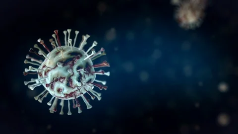 Single germ cell spins left of frame, closeup animated macro Video stock 124331443