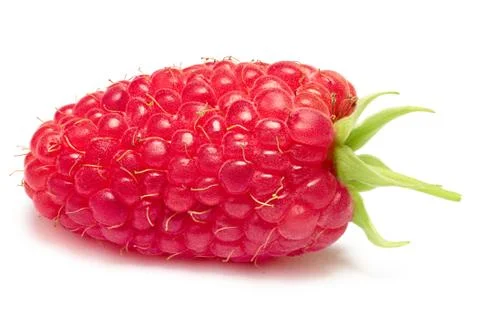 Single giant, elongated raspberry Stock Photos