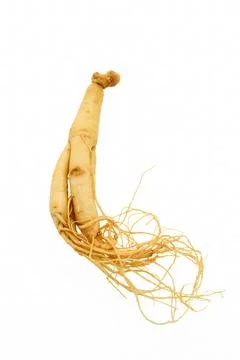 A single ginseng root with white background Stock Photos