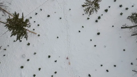Single girl pulling sled in the winter park Stock Footage 101382743