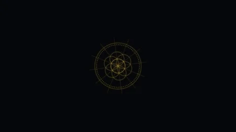 A single golden firework exploding against the deep black night sky backgroun Stockbeeldmateriaal 338310103