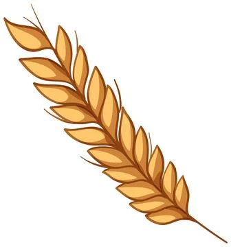 Single Golden Wheat Ear Vector Illustration Isolated on White Background Illustrazione stock