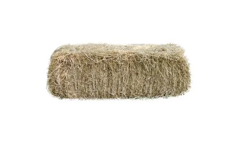Single golden yellow haystack isolated on white background with clipping path Stock Photos