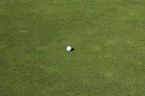 Single golf ball on grass background with space for copy Stock Photos