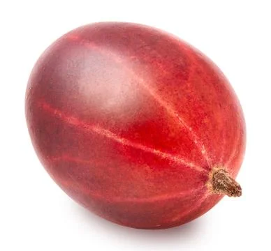 Single gooseberry isolated Stock Photos