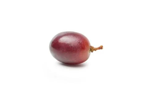 Single Grape Stock Photos