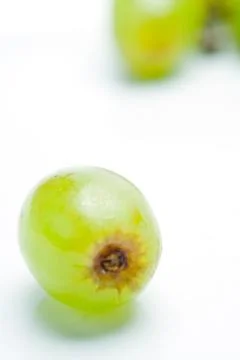 A Single Grape Stock Photos